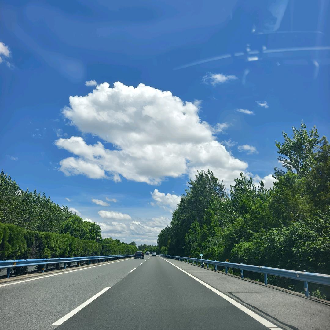 可惜我是狮子座