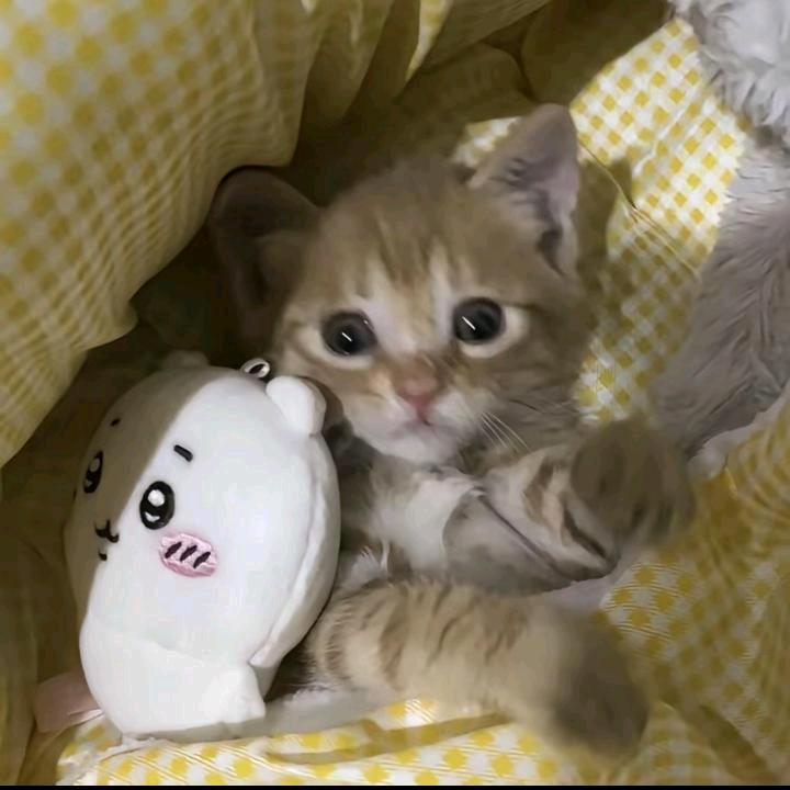 A.睡不饱💤