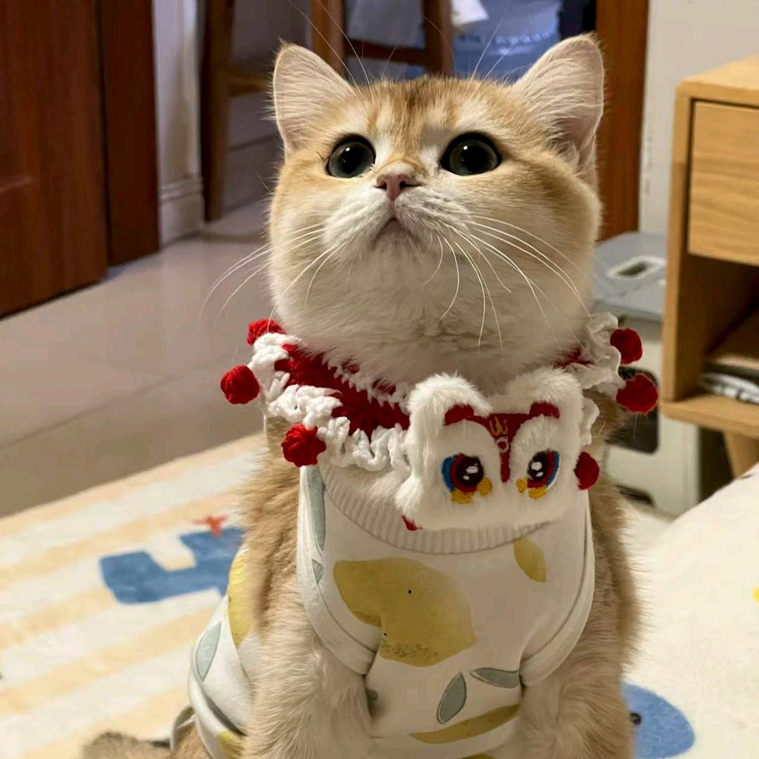 讨厌冰美式不加糖