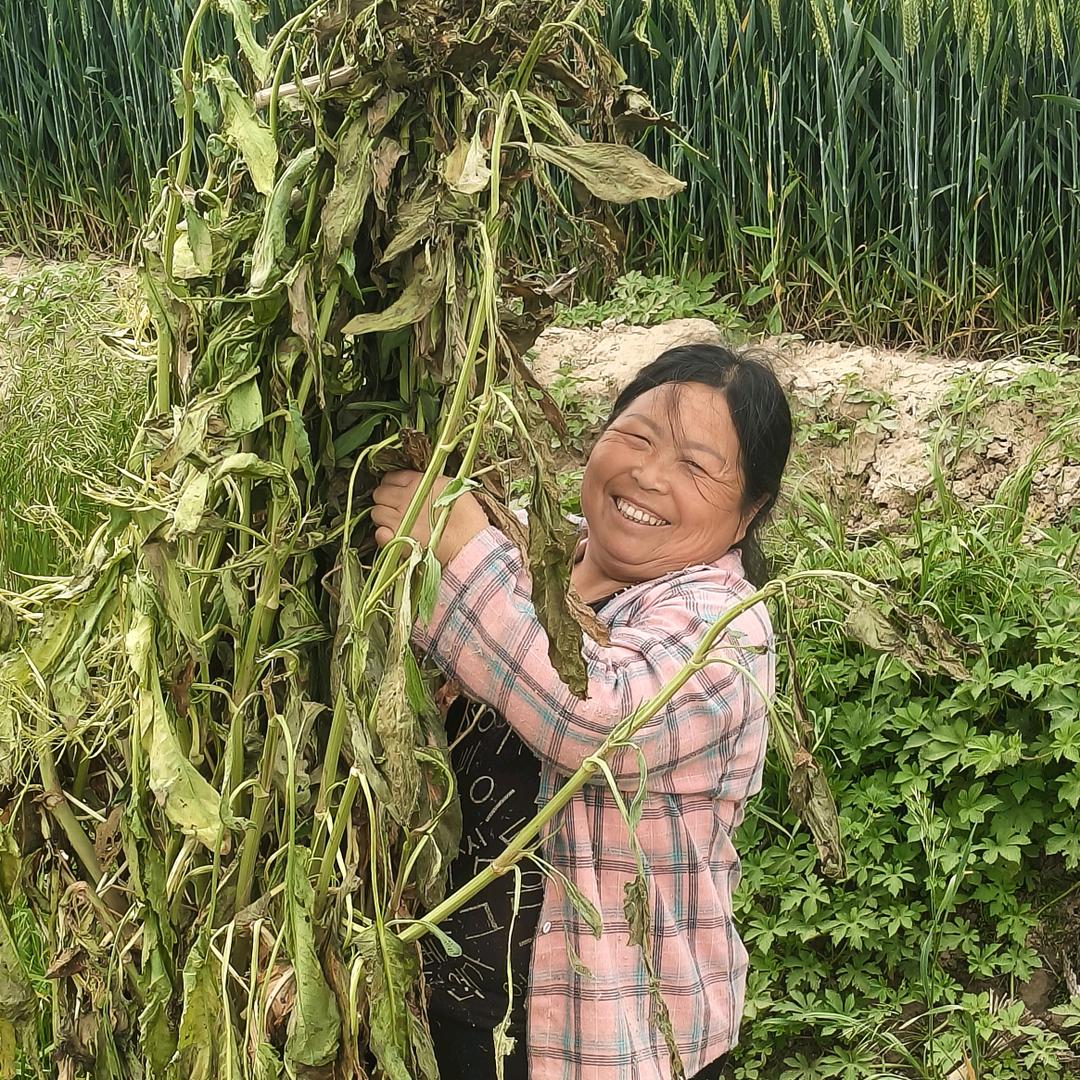 山东胖姐