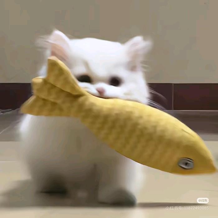 小 漉