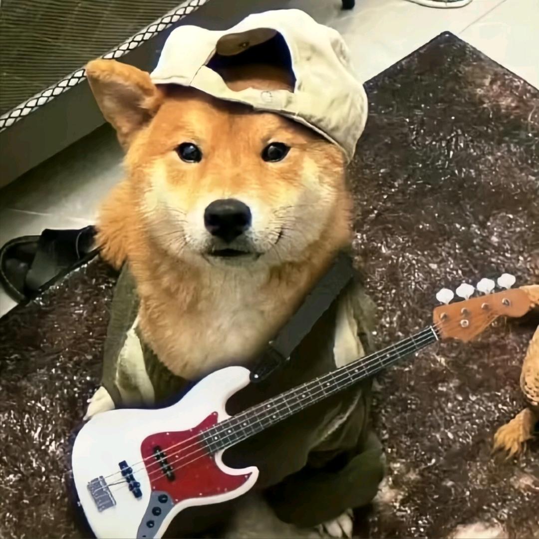 小韩从不emo