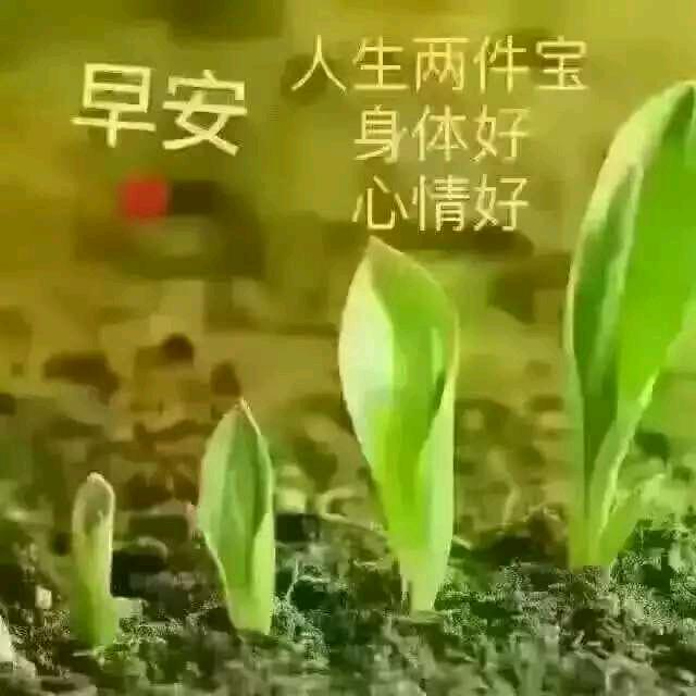 JⅰangQⅰn
