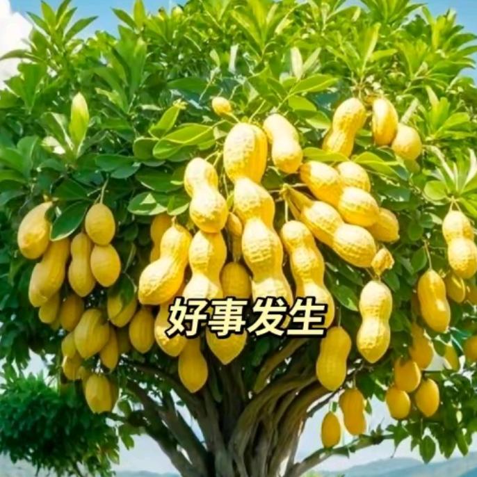 CC-厨具甄选