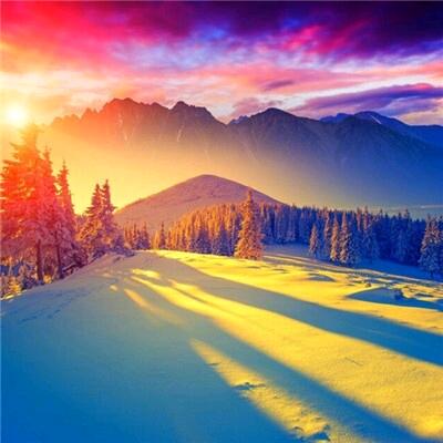 ❥👻👻🌹👊🏿