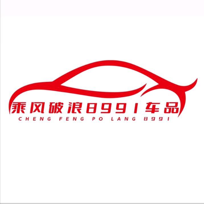 乘风破浪8991车品