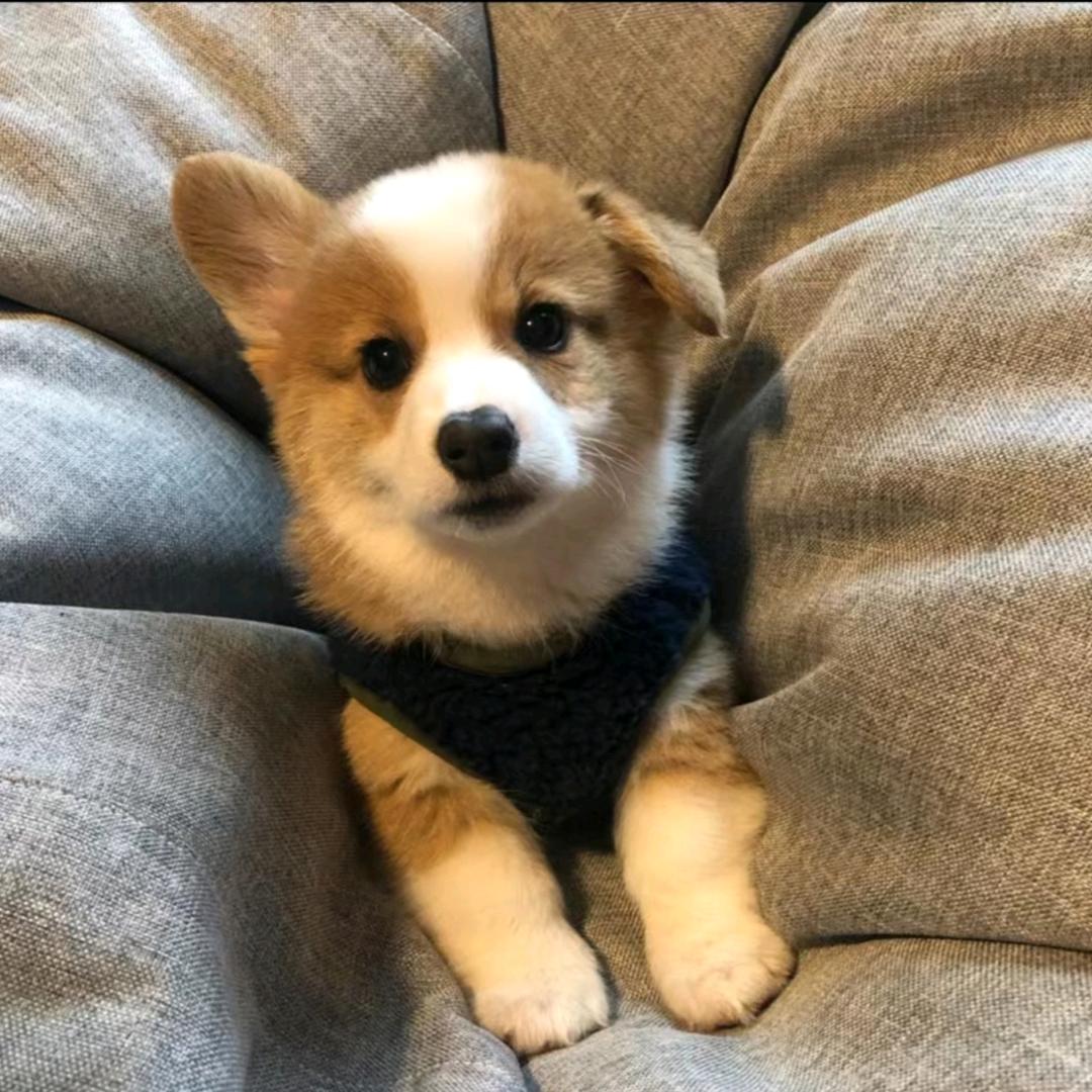 𝙈𝙖𝙠𝙖𝙗𝙖𝙠𝙖