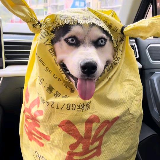 胡先森