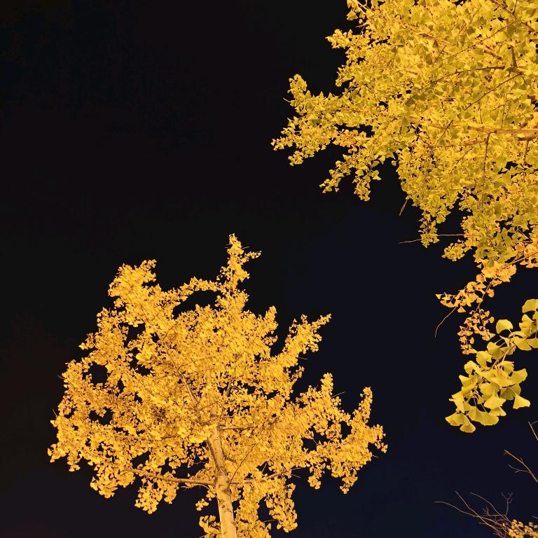 冷库保温板生产厂家