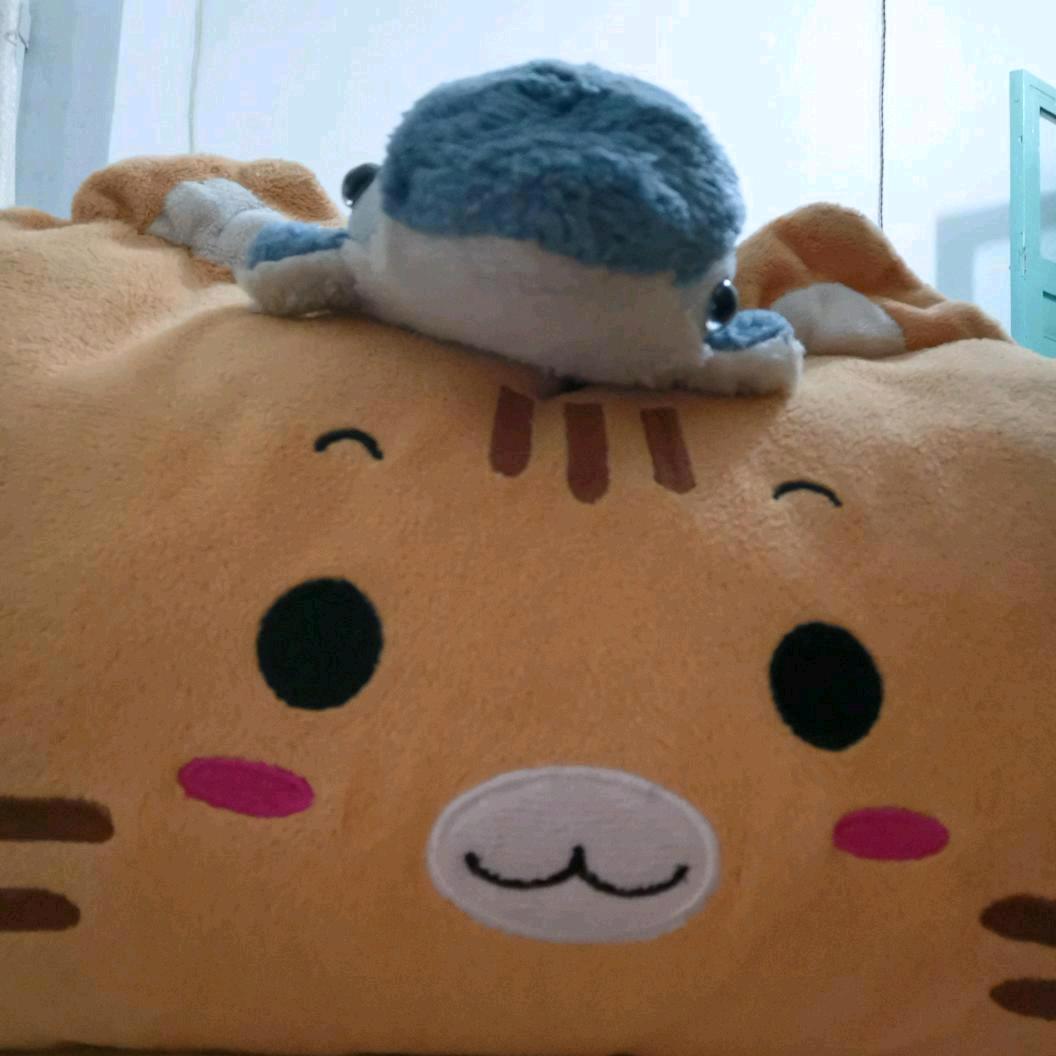 海豚喵elf