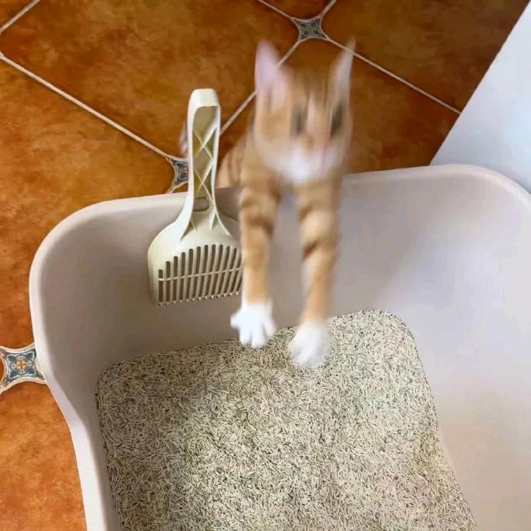 霜降