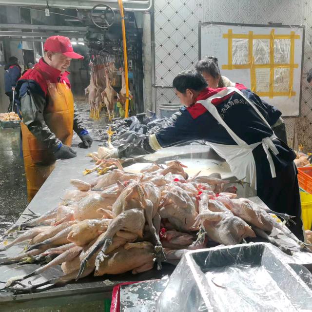 杭州小强农业发展有限公司