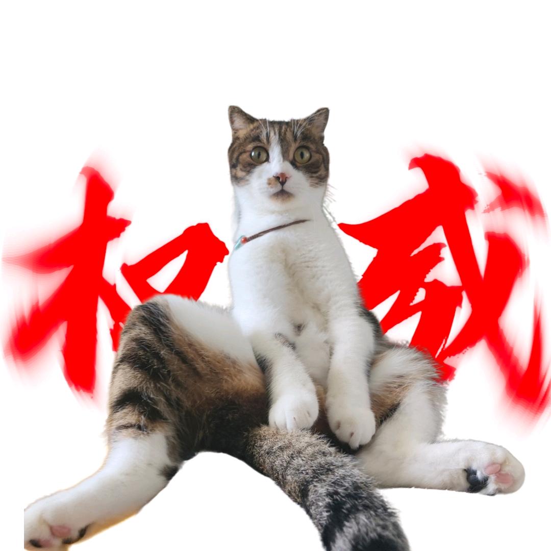 牛肚大王睡不醒