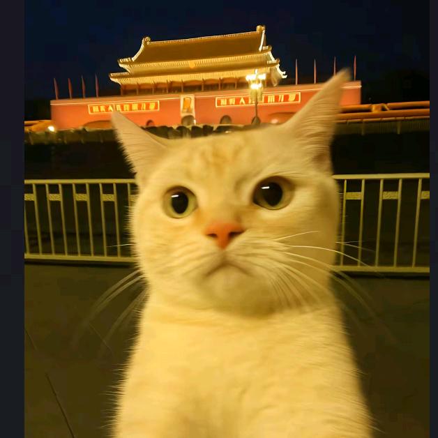 冷酷八十老太👩🏻‍🦳