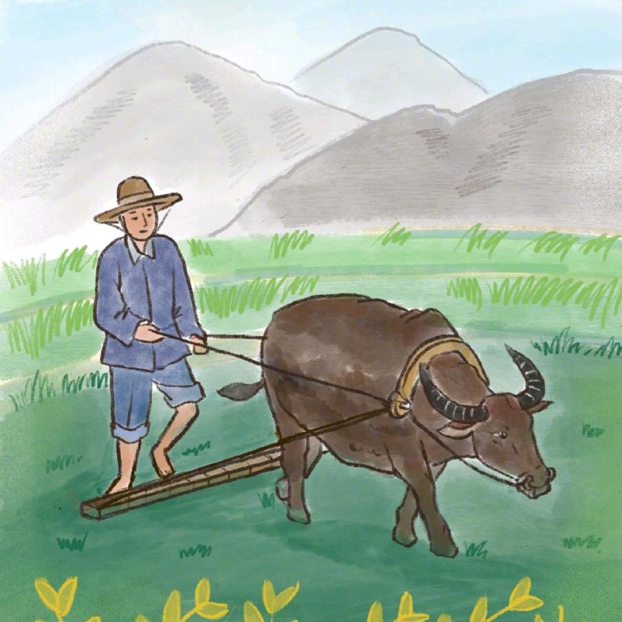 田田
