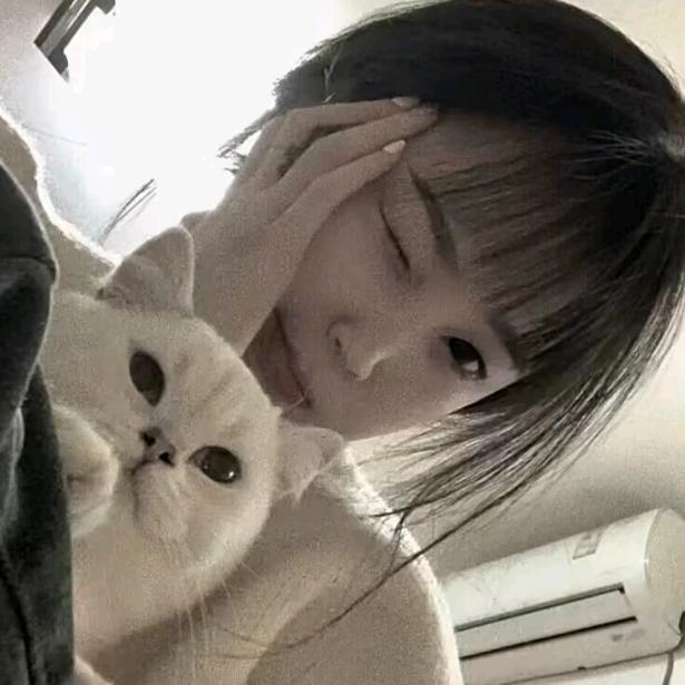 梦ᵀ