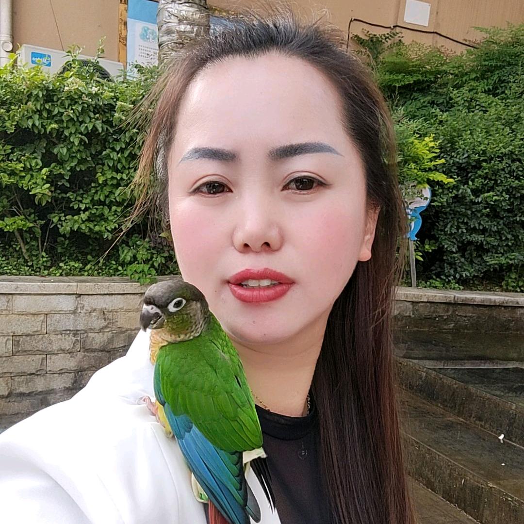 董姐。。。一个人挺好