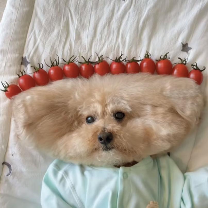 Cho