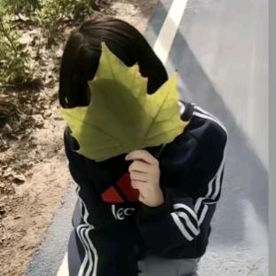 小狗喜欢吃什么