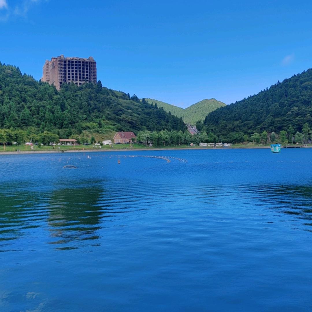 莎莎