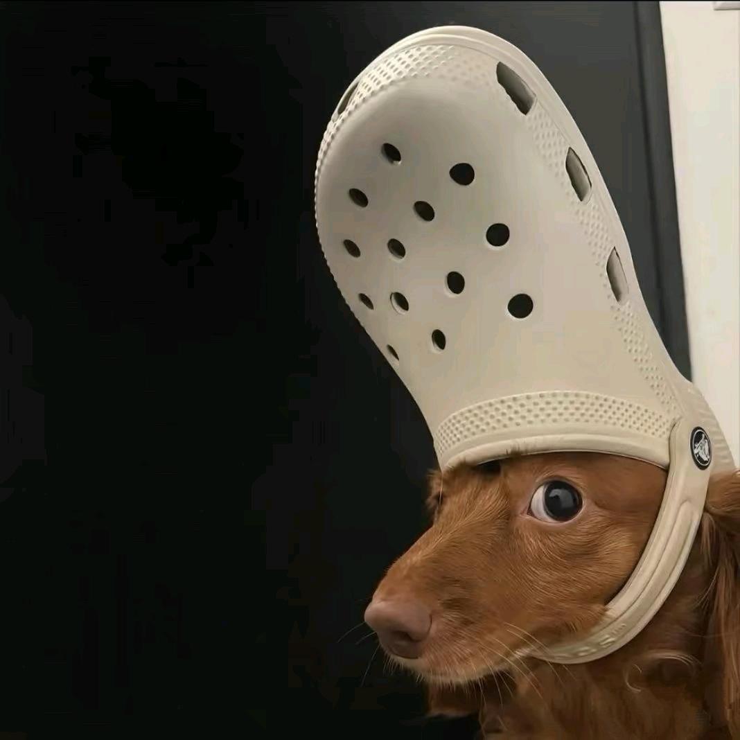 刘大喜(不想上班)