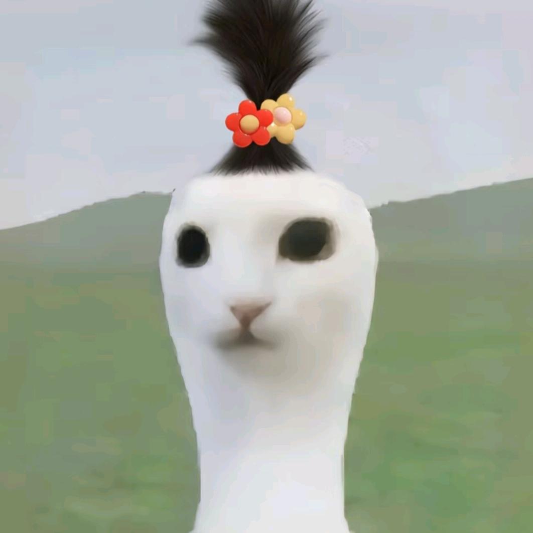 赴玖夏