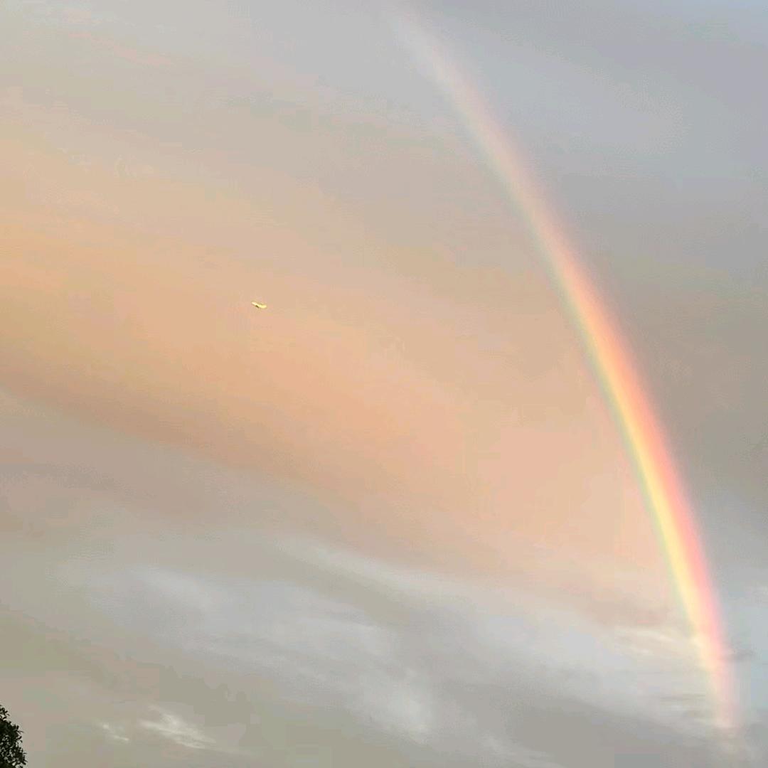 🌈*🌈
