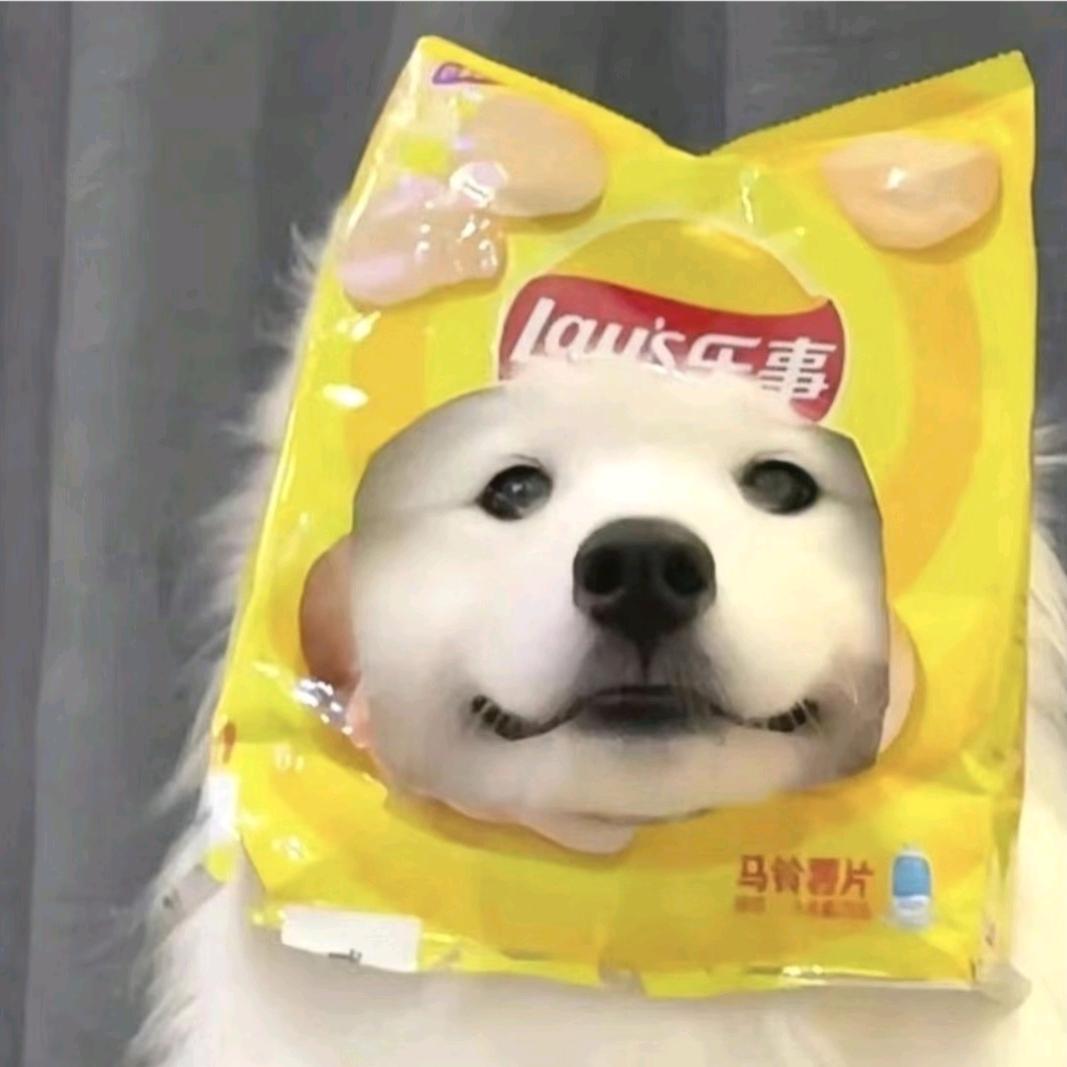 真的不想早起