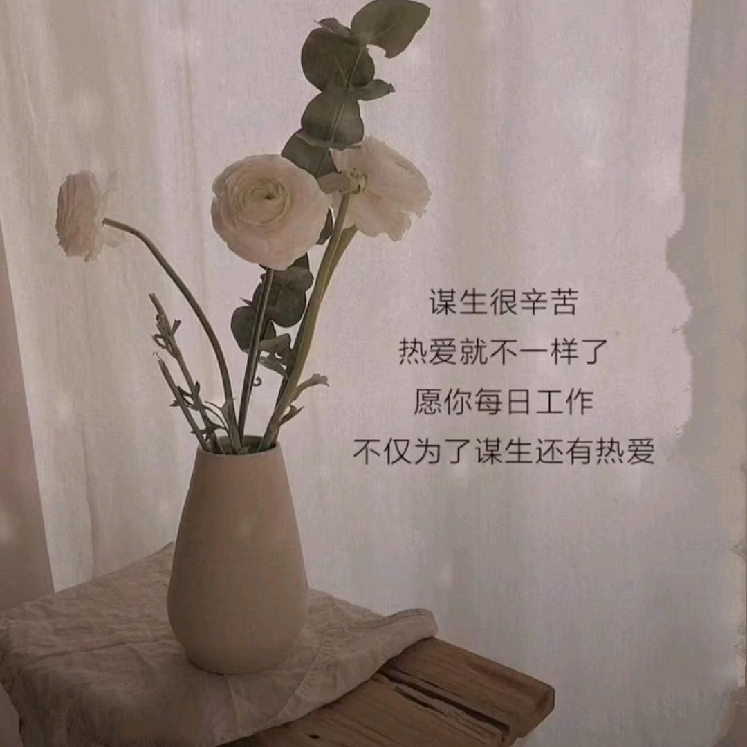 初见 ໌້ᮨ⁷⁷🫶🏻