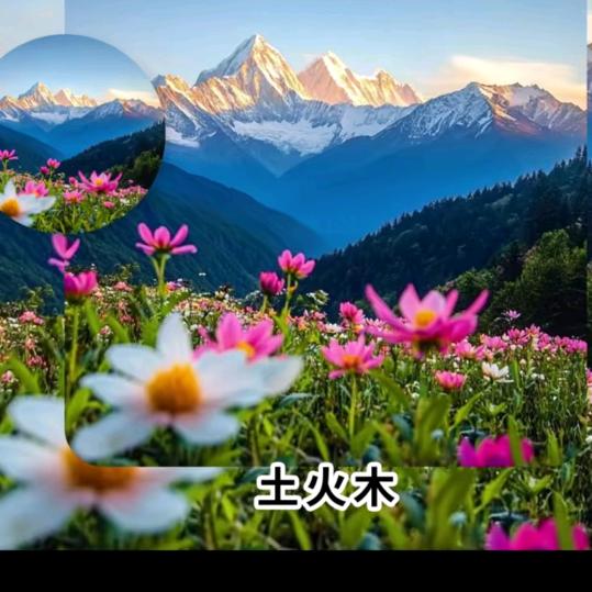 🌹雨后彩虹🌹