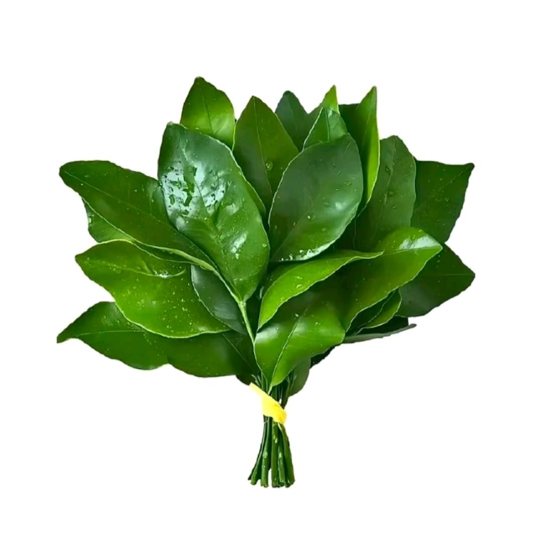 我还是困