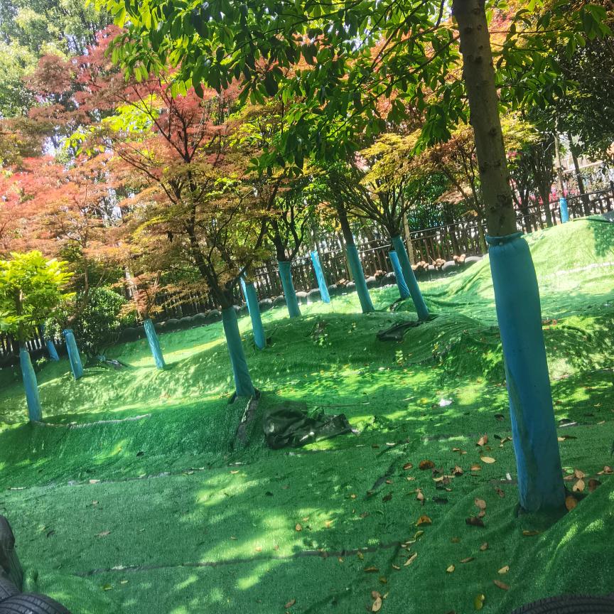 花溪河畔十里河滩奇趣乐园