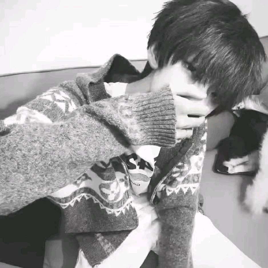养只猫