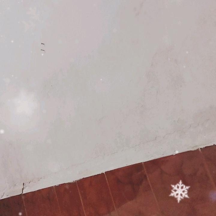 隆發