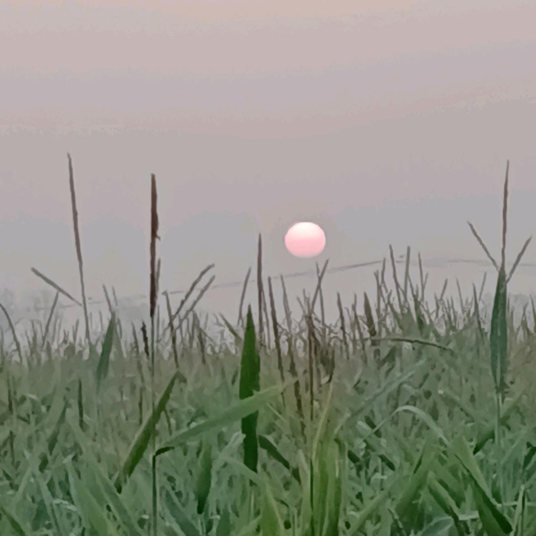 一生平安