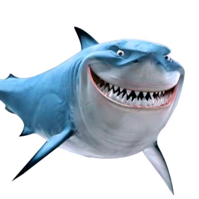 汤姆慧安心卖货号