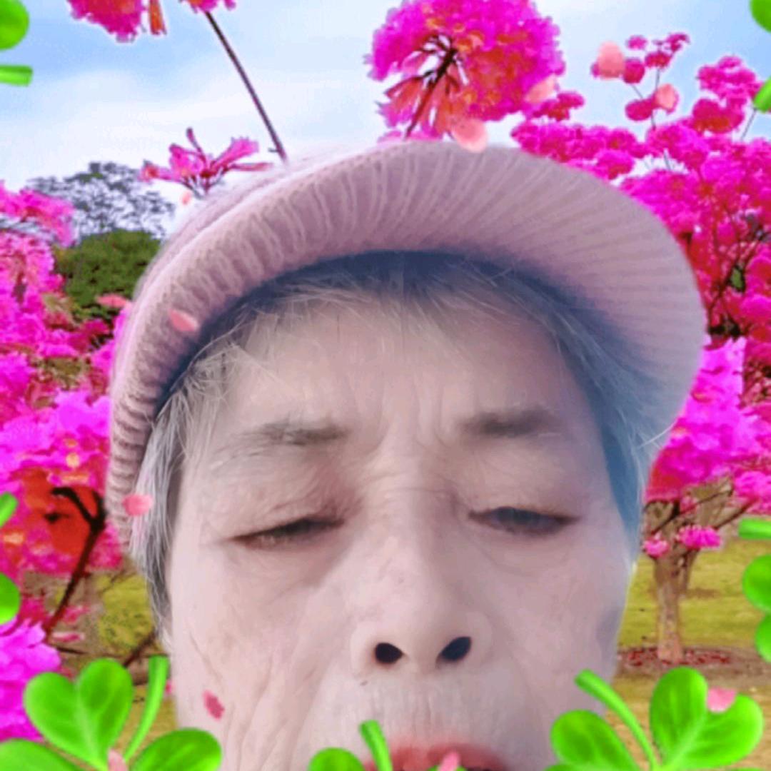 开朗的网友。