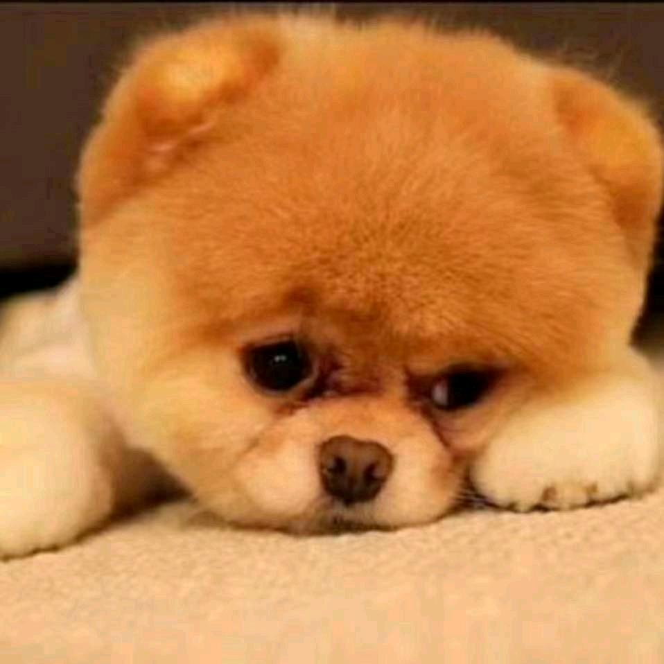 🔥🔥韦小宝¹ᶟ₁₄ ࿐🔥🔥