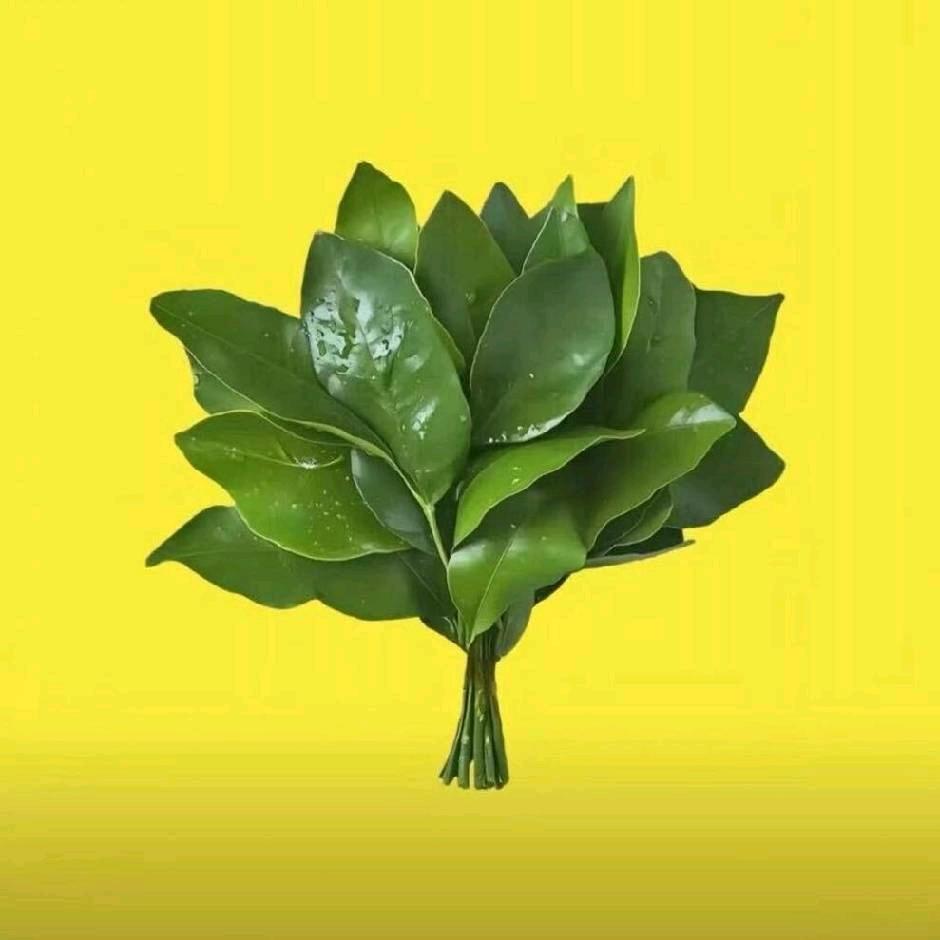 @俩妹（谢谢关注）