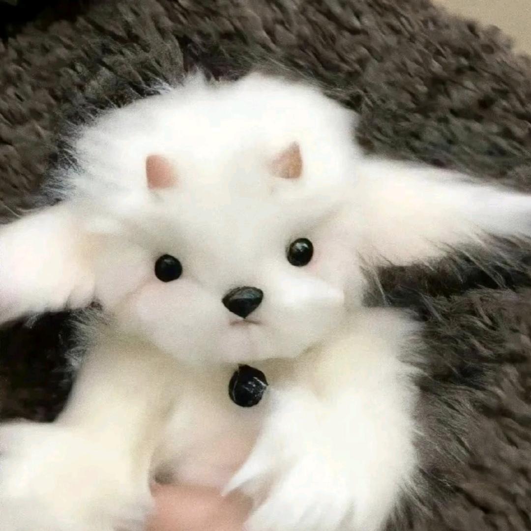 xuexi