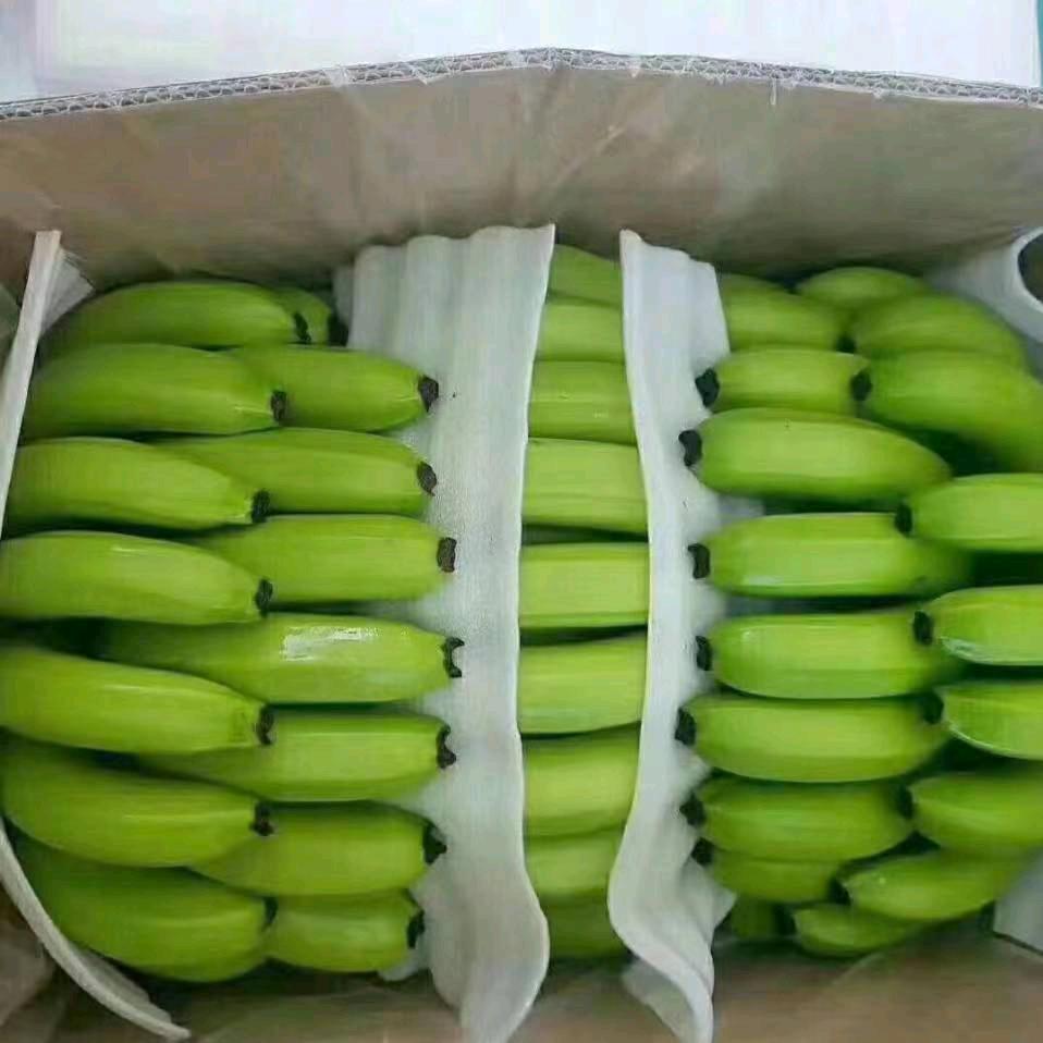 小钱🍌