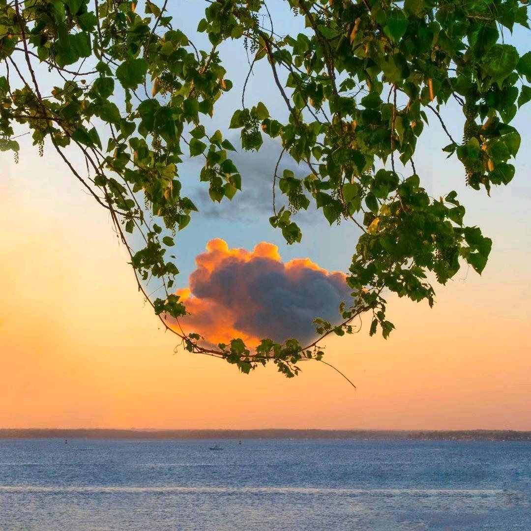 太平洋底开烧烤摊