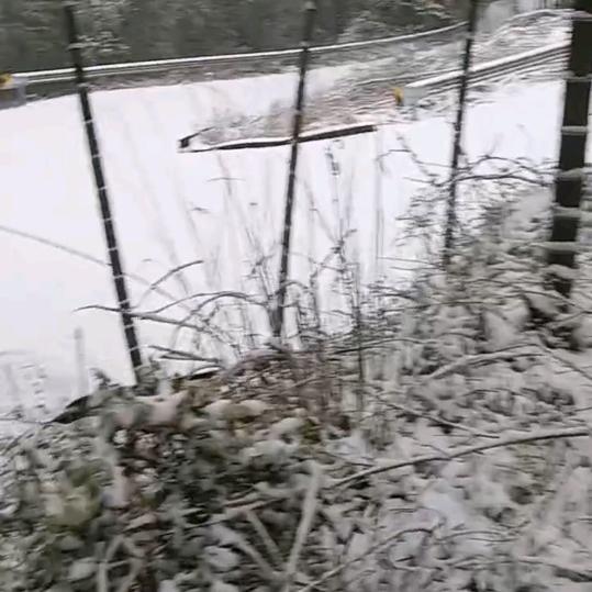 开心首播20.30分