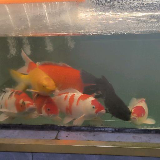 温馨生态小院