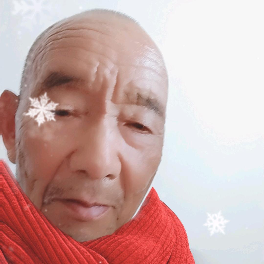 老党