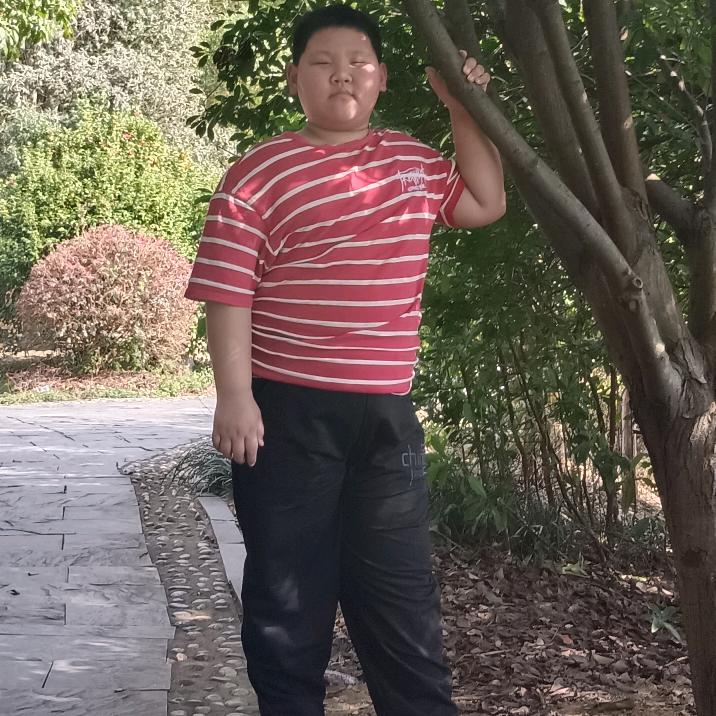 小胖凡凡