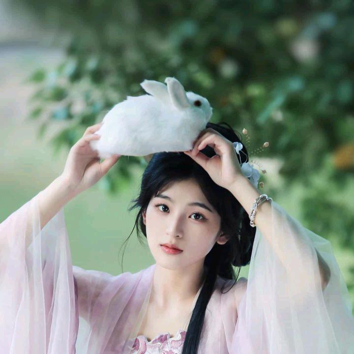 用力莫得了头像