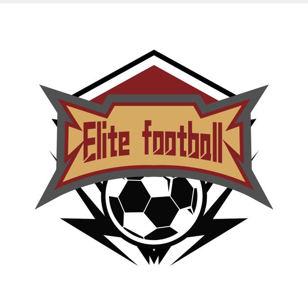 山西精英足球俱乐部（李教练）