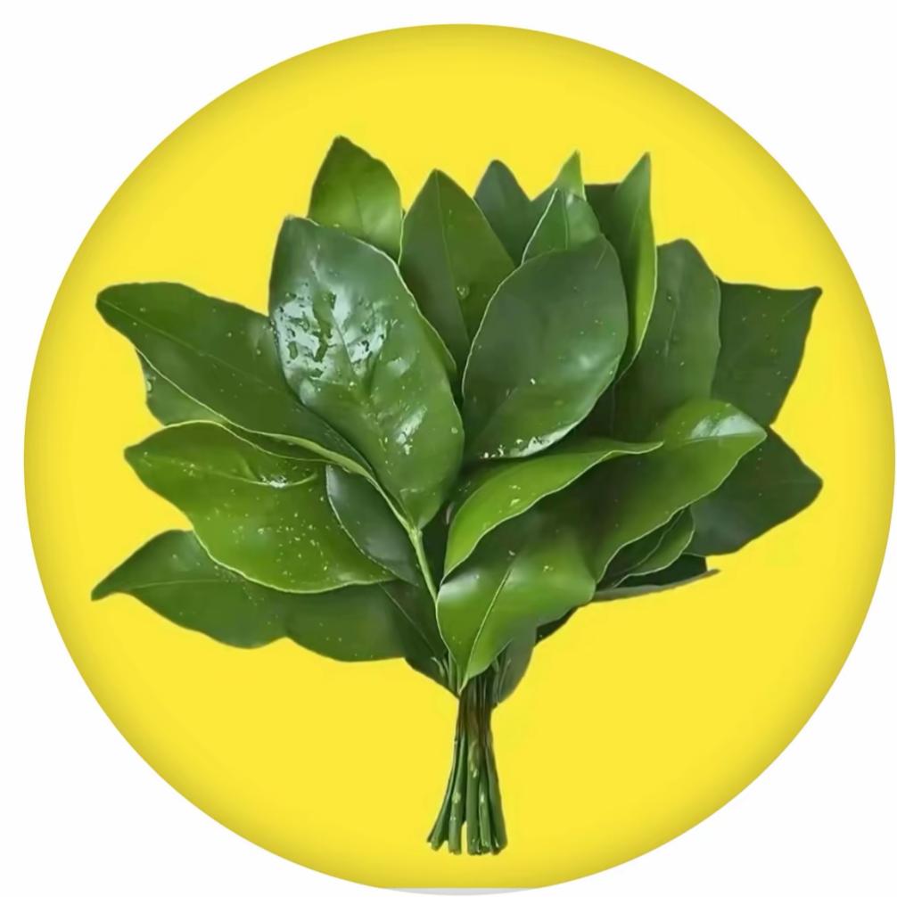 小圆钱来