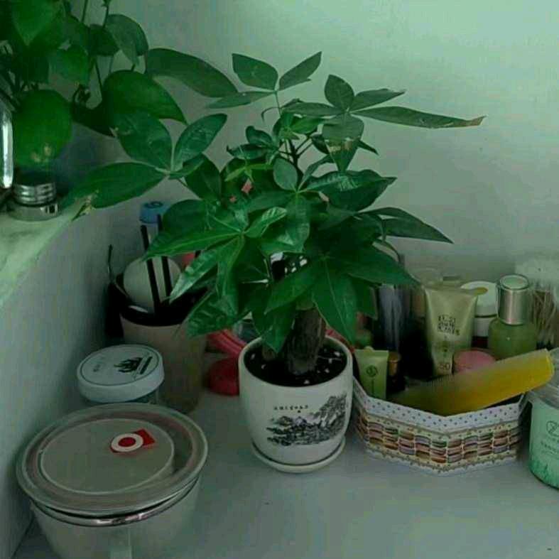 🥀ঞ我在广东打罗丝₅₂₀💞࿐